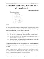 Tiểu luận lý THUYẾT TRIỂN VỌNG HIỆU ỨNG PHÂN bổ và GIÁ tài sản 