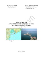 BÁO CÁO TÓM TẮT DỰ ÁN TUYẾN ĐÊ BIỂN VŨNG TÀU - GÒ CÔNG KẾT HỢP CHUỖI ĐÔ THỊ VEN BIỂN
