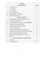 Chuyên đề kinh nghiệm bồi dưỡng học sinh giỏi ngữ văn THCS