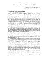 TĂNG HUYẾT ÁP VÀ TAI BIẾN MẠCH MÁU NÃO