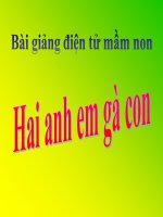 Bài giảng điện tử đề tài Hai anh em gà con