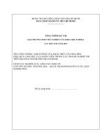 ẢNH HƯỞNG CỦA KHÁC BIỆT VĂN HÓAĐẾN  HIỆU QUẢ LÀM VIỆC CỦA NHÂN VIÊNTRONG CÁC DOANH NGHIỆP FDI TRÊNĐỊA BÀN THÀNH PHỐ HỒ CHÍ MINH