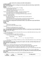 ĐỀ CƯƠNG ôn tập học kì II môn SINH học 11 14 15 