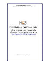 PHƯƠNG ÁN CỔ PHẦN HÓA CÔNG TY TNHH MỘT THÀNH VIÊN HÓA CHẤT CƠ BẢN MIỀN NAM (HCCB)
