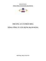 PHƯƠNG ÁN CỔ PHẦN HÓA TỔNG CÔNG TY XÂY DỰNG BẠCH ĐẰNG