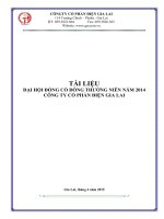 ĐẠI HỘI ĐỒNG CỔ ĐÔNG THƯỜNG NIÊN NĂM 2014 CÔNG TY CỔ PHẦN ĐIỆN GIA LAI