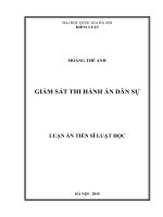 Giám sát thi hành án dân sự