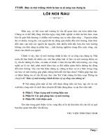 Bảo vệ môi trường chính là bảo vệ sự sống của chúng ta