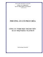 PHƯƠNG ÁN CỔ PHẦN HÓA CÔNG TY TNHH MỘT THÀNH VIÊN XUẤT NHẬP KHẨU NGÀNH IN