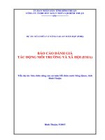 BÁO CÁO ĐÁNH GIÁ TÁC ĐỘNG MÔI TRƯỜNG VÀ XÃ HỘI (ESIA)