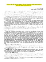 THỰC TRẠNG ĐỘI MŨ BẢO HIỂM CỦA NGƢỜI THAM GIA GIAO THÔNG BẰNG XE MÁY TẠI TỈNH THÁNG NĂM 2013