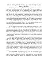 XÓI LỞ - BỒI TỤ BỜ BIỂN TỈNH BÀ RỊA VŨNG TÀU HIỆN TRẠNG VÀ NGUYÊN NHÂN