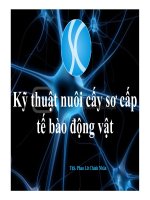 Bài giảng kỹ thuật nuôi cấy sơ cấp tế bào động vật
