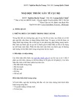 NGỘ ĐỘC THUỐC GÂY TÊ CỤC BỘ