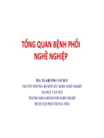 TỔNG QUAN BỆNH PHỔI NGHỀ NGHIỆP