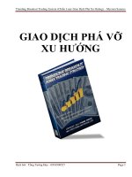 Chiến Lược Giao Dịch Phá Vỡ Xu Hướng