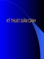 Bài giảng kỹ thuật giâm cành