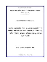 KHẢO sát HIỆU ỨNG GIAO THOA điện tử TRONG PHỔ SÓNG điều hòa bậc CAO của PHÂN tử ION h 2 KHI xét đến DAO ĐỘNG hạt NHÂN
