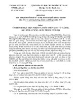 TÌNH HÌNH THỰC HIỆN NHIỆM VỤ PHÁT TRIỂN KINH TẾ - XÃ HỘI, BẢO ĐẢM AN NINH - QUỐC PHÒNG NĂM 2014