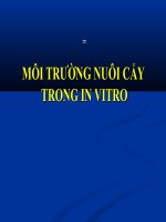 Bài giảng môi trường nuôi cấy trong IN VITRO