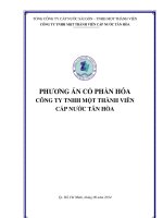PHƯƠNG ÁN CỔ PHẦN HÓA CÔNG TY TNHH MỘT THÀNH VIÊN CẤP NƯỚC TÂN HÒA