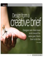 Design from a creative brief