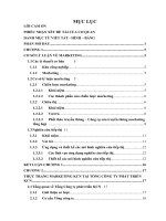 Xây dựng kế hoạch Marketing nhằm nâng cao hiệu quả kinh doanh hạ tầng khu công nghiệp Giang Điền của Tổng Công ty Phát triển Khu công nghiệp