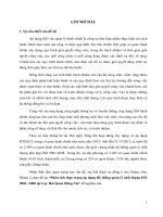 Tiểu luận Phân tích thực trạng áp dụng Hệ thống quản lý chất lượng ISO 9001 2008 tại Cục Hải Quan Đồng Nai