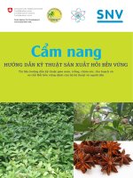 HƯỚNG DẪN KỸ THUẬT SẢN XUẤT HỒI BỀN VỮNG