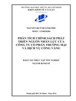 PHÂN TÍCH CHÍNH SÁCH PHÁT TRIỂN NGUỒN NHÂN LỰC