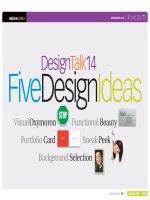 Design Talk 14 Visual Functional Portfolio Sneak Background