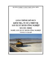 Kiểm Tra, Tu Sửa Thiết Bị Sản Xuất Muối Công Nghiệp