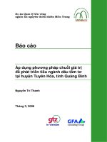 Áp dụng phương pháp chuỗi giá trị để phát triển tiểu ngành dâu tằm tơ tại huyện Tuyên Hóa, tỉnh Quảng Bình