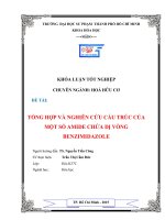 TỔNG hợp và NGHIÊN cứu cấu TRÚC của một số AMIDE CHỨA dị VÒNG BENZIMIDAZOLE