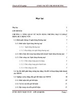 THỰC TRẠNG HUY ĐỘNG TIỀN GỬI TIẾT KIỆM TẠI NGÂN HÀNG NN & PTNT QUẢNG TRỊ