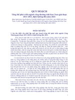 Tổng thể phát triển ngành công thương tỉnh Kon Tum giai đoạn 2011-2015, định hướng đến năm 2025