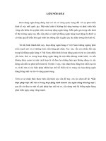 Các biện pháp hạn chế rủi ro trong hoạt động kinh doanh của ngân hàng thương mại