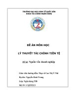 Đề án lý thuyết tài chính tiền tệ nguồn vốn doanh nghiệp