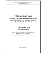 TÓM TẮT BÁO CÁO ĐÁNH GIÁ TÁC ĐỘNG MÔI TRƯỜNG VÀ XÃ HỘI