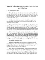 Sự phát triển tình cảm và nhân cách của học sinh tiểu học