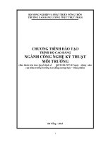 CHƯƠNG TRÌNH ĐÀO TẠO TRÌNH ĐỘ CAO ĐẲNG NGÀNH CÔNG NGHỆ KỸ THUẬT MÔI TRƯỜNG