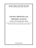 CHƯƠNG TRÌNH ĐÀO TẠO TRÌNH ĐỘ CAO ĐẲNG NGÀNH: CÔNG NGHỆ THỰC PHẨM