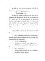 Quy hoạch và các chương trình phát triển bất động sản