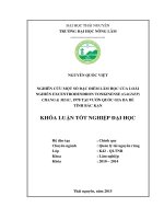 Nghiên cứu một số đặc điểm lâm học của loài Nghiến Excentrodendron tonkinense (Gagnep) chang  Miau, 1978 tại vườn Quốc gia Ba Bể  tỉnh Bắc Kạn