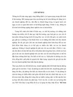 Kế toán dự phòng các khoản phải thu trong doanh nghiệp việt nam hiện nay