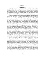 Xử lý rơm rạ đồng ruộng số chế phẩm sinh học