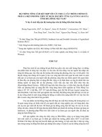 HỆ THỐNG NÔNG LÂM KẾT HỢP VỚI CÂY TRỒNG CHÍNH LÀ CÂY TRE Ở TỈNH HÒA BÌNH