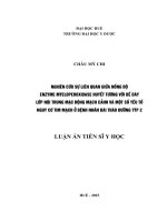 Nghiên cứu sự liên quan giữa nồng độ enzyme myeloperoxidase huyết tương với bề dày lớp nội trung mạc động mạch cảnh và một số yếu tố nguy cơ tim mạch ở bệnh nhân đái tháo đường týp 2