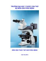 GIÁO TRÌNH THỰC tập GIẢI PHẪU BỆNH