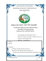 Đánh giá sơ bộ tác động môi trườngDự án đầu tư xây dựng công trìnhKhách sạn SAPA AMAZING HOTEL